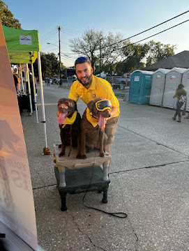 Brock, lead trainer at Tip Top K9 NW Arkansas, working with two dogs on a place board